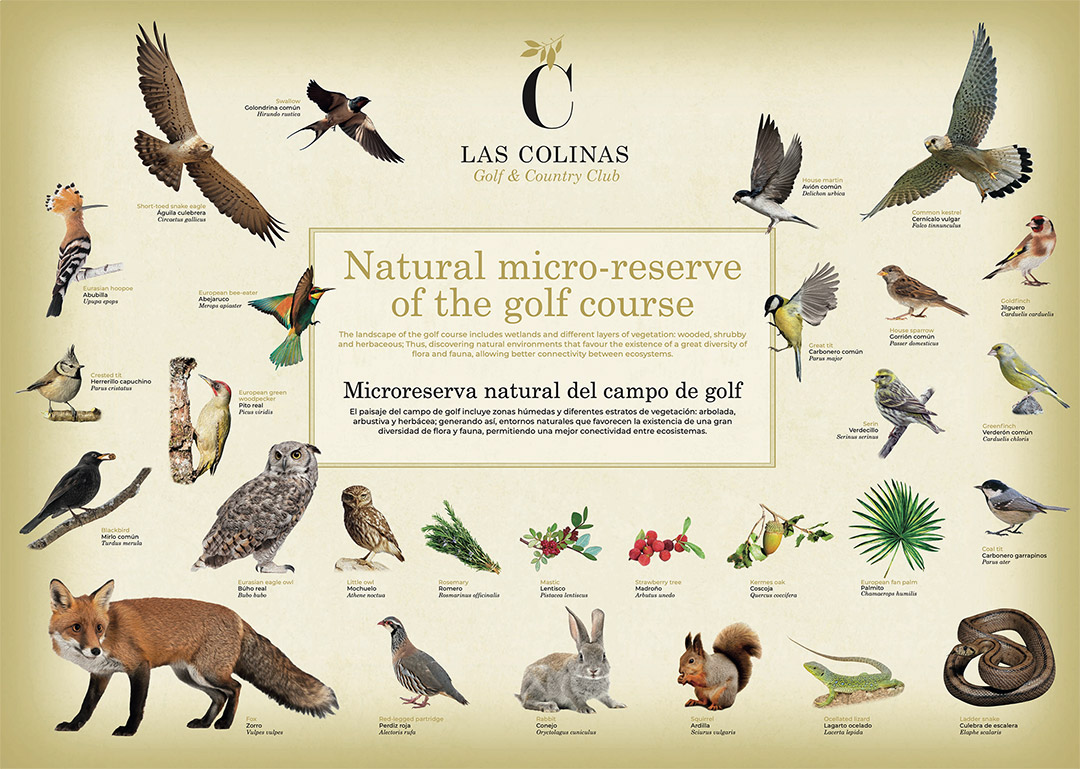 Fauna y Flora LAs Colinas